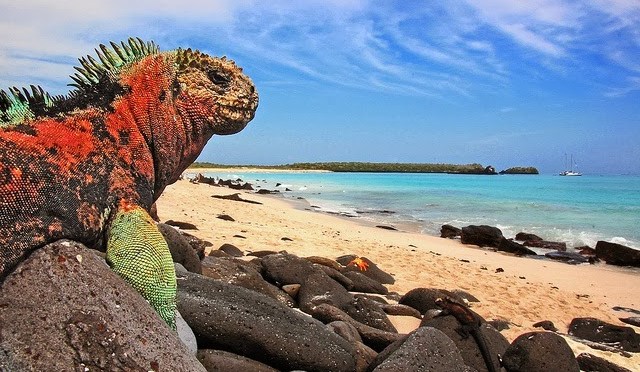 ECUADOR TRABAJA PARA POTENCIAR EL TURISMO E INVERSIONES VERDES