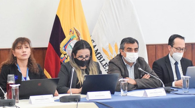 <strong>OBSERVACIONES AL PROYECTO DE CÓDIGO DE SEGURIDAD DEL ESTADO</strong>