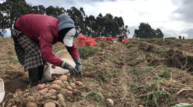 <strong>GOBIERNO PRESENTARÁ EL PROYECTO DE FOMENTO A LA INVERSIÓN AGROPECUARIA EN LATACUNGA</strong>