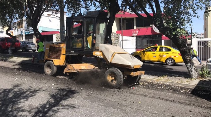 <strong>INICIARON LOS TRABAJOS DE REHABILITACIÓN EN LA AVENIDA EDMUNDO CARVAJAL EN EL NORTE DE QUITO</strong>