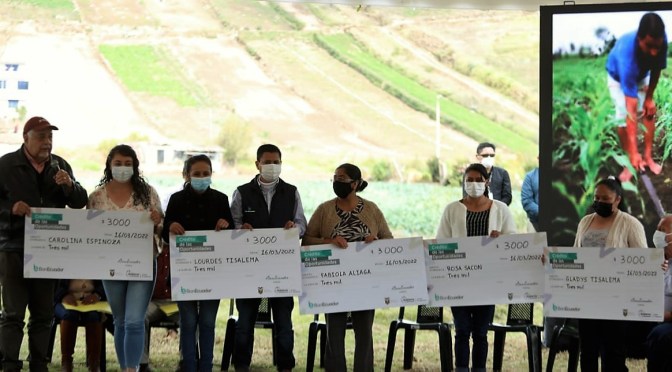 <strong>CRÉDITOS DE LAS OPORTUNIDADES A LOS PRODUCTORES DE TUNGURAHUA</strong>