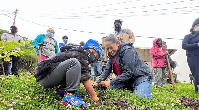 <strong>PREFECTURA DE PICHINCHA CONTINÚA CON EL PROGRAMA DE REFORESTACIÓN</strong>