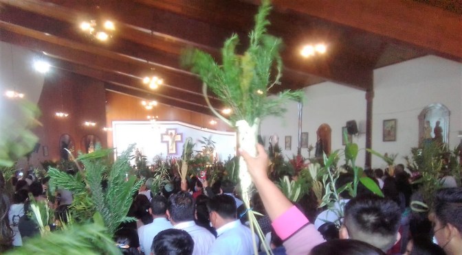 <strong>SE DESBORDO LA FE CATÓLICA EN DOMINGO DE RAMOS</strong>