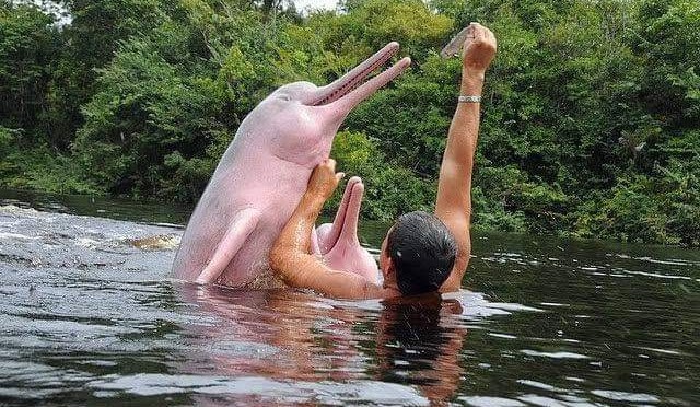 LA REACTIVACIÓN TURÍSTICA EN EL ECUADOR DEJA CERCA DE 173 MILLONES DE DÓLARES DURANTE LOS TRES PRIMEROS FERIADOS DEL AÑO