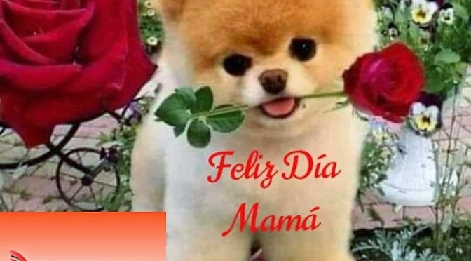 <strong>FELIZ DÍA DE LAS MADRES</strong>