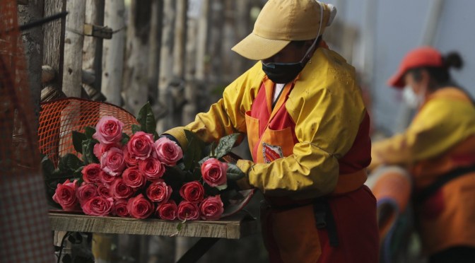 <strong>MÁS DE 110 MILLONES DE DÓLARES EN PÉRDIDAS REPORTA EL FRENTE PRODUCTIVO POR LAS PARALIZACIONES</strong>