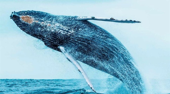 <strong>FERIADO DEL 10 DE AGOSTO POSITIVO PARA EL TURISMO EN EL PAÍS</strong>