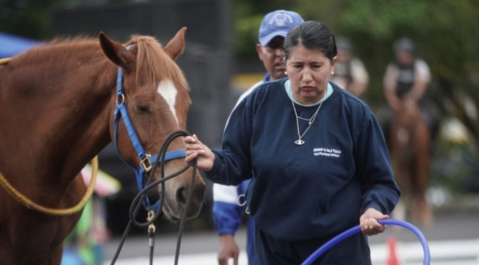 MINISTERIO DE SALUD Y POLICÍA NACIONAL INAUGURAN PROYECTO DE EQUINOTERAPIA