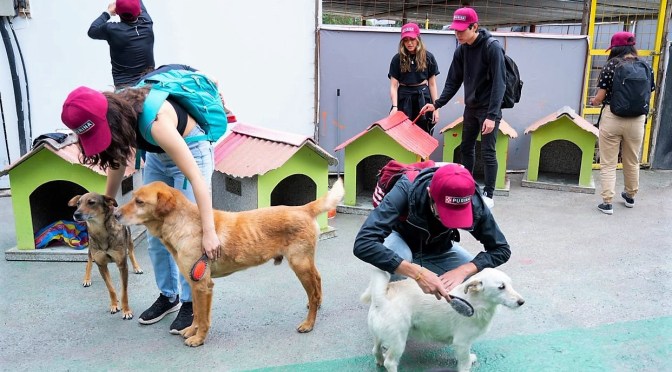 NESTLÉ Y TÍA DONAN 4.1 TONELADAS DE COMIDA PARA MASCOTAS A FUNDACIONES DE RESCATE ANIMAL