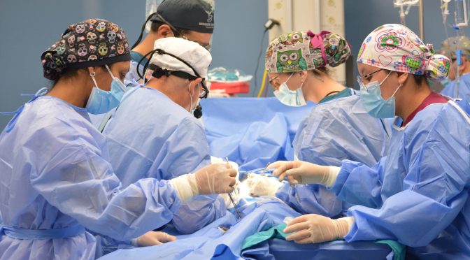 HOSPITAL BACA ORTIZ DE QUITO REALIZÓ CON ÉXITO DOS TRASPLANTES RENALES