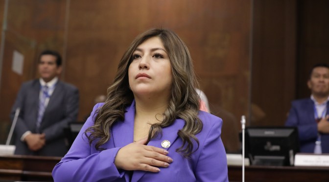 ASAMBLEA APROBÓ LA LEY PARA EL CONTROL DEL ESPACIO AÉREO NACIONAL