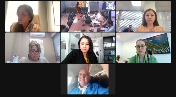 MUNICIPALIDADES, MINISTERIO DE FINANZAS Y BANCO DE DESARROLLO SE PRONUNCIARON SOBRE LAS REFORMAS A LA LEY DE CULTURA