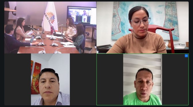 COMISIÓN DEL DERECHO A LA SALUD APROBÓ EL INFORME PARA GARANTIZAR LA LACTANCIA MATERNA Y ERRADICAR LA MALNUTRICIÓN