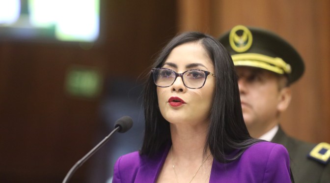 LA UNIVERSIDAD PÚBLICA PARA SANTO DOMINGO ES UN HECHO DICE VELOZ 