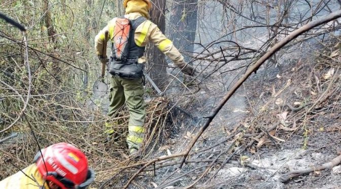 OCHO MESES DE PRISIÓN PARA EL AUTOR DEL INCENDIO DE GUÁPULO