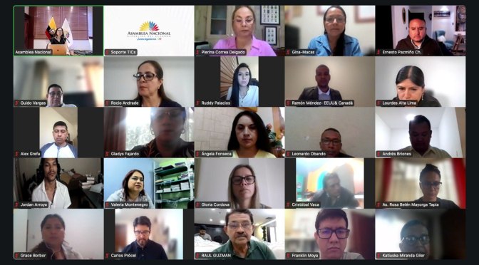 ASAMBLEA CALIFICÓ EL PROYECTO DE LEY ORGÁNICA PARA IMPULSAR LA ECONOMÍA DE LAS MUJERES EMPRENDEDORAS