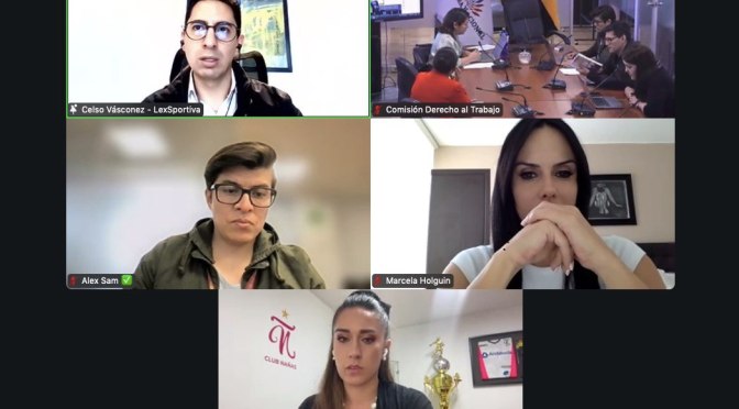 NUEVOS CRITERIOS AL DEBATE DEL PROYECTO DE LEY DEL FUTBOLISTA PROFESIONAL