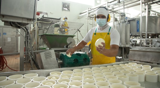 QUESO MOZZARELLA LIGHT Y DESLACTOSADO REFLEJÓ UN CRECIMIENTO DEL 91% DE VOLUMEN DURANTE EL 2024