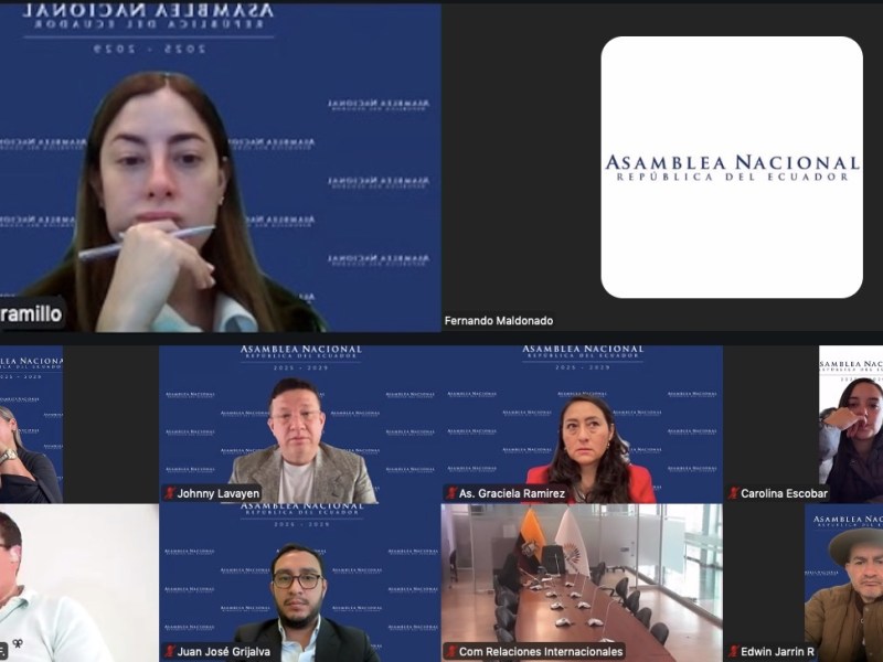 EXASAMBLEÍSTA PEDRO VELASCO EXPUSO ANTE LA COMISIÓN PROYECTO DE LEY SOBRE AGENTES DE ADUANA