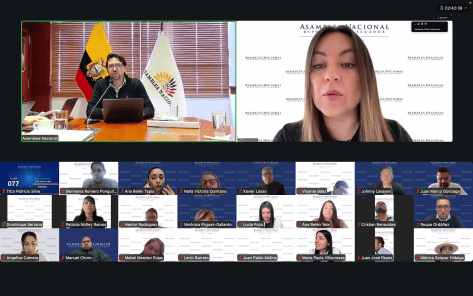 ASAMBLEA NACIONAL CUMPLE CON DICTAMEN DE LA CORTE CONSTITUCIONAL SOBRE EL CASO MALVINAS