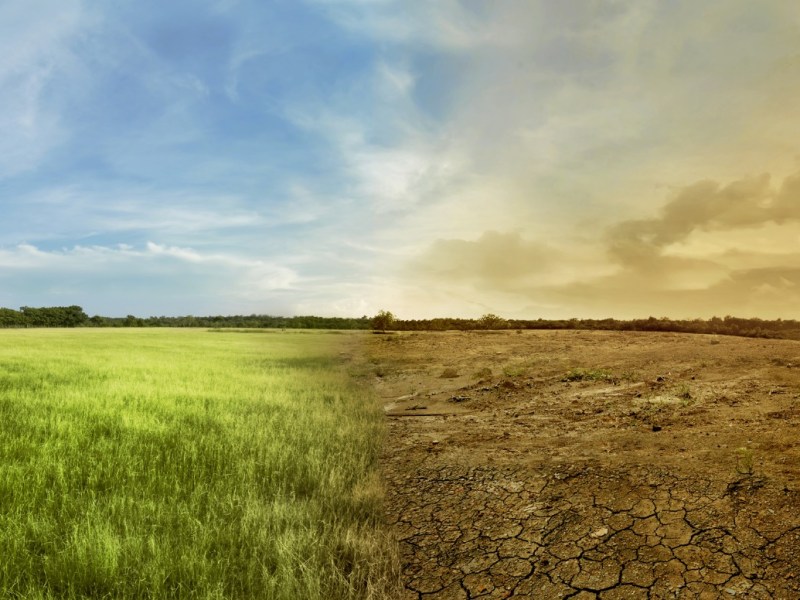 LA AGRICULTURA ECUATORIANA FRENTE AL CLIMA EXTREMO: INNOVACIÓN, AGUA Y SOSTENIBILIDAD MARCAN EL CAMINO