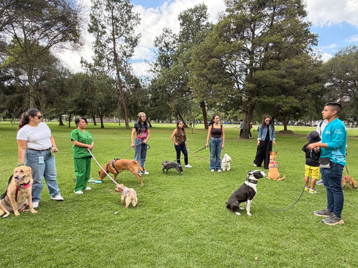 ALPINA IMPULSÓ UNA JORNADA PET FRIENDLY JUNTO A DOG YURT PARA FORTALECER EL VÍNCULO ENTRE COLABORADORES Y SUS MASCOTAS