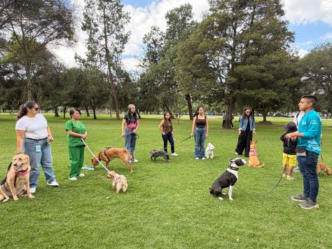 ALPINA IMPULSÓ UNA JORNADA PET FRIENDLY JUNTO A DOG YURT PARA FORTALECER EL VÍNCULO ENTRE COLABORADORES Y SUS MASCOTAS