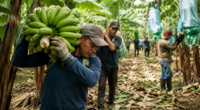 LA PREVENCIÓN LABORAL COMIENZA A CONVERTIRSE EN UN DESAFÍO CLAVE PARA SECTORES PRODUCTIVOS DEL ECUADOR