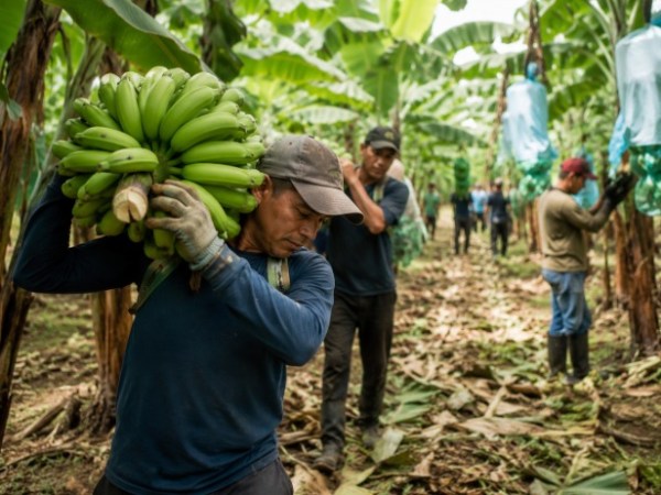 LA PREVENCIÓN LABORAL COMIENZA A CONVERTIRSE EN UN DESAFÍO CLAVE PARA SECTORES PRODUCTIVOS DEL ECUADOR
