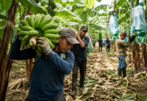 LA PREVENCIÓN LABORAL COMIENZA A CONVERTIRSE EN UN DESAFÍO CLAVE PARA SECTORES PRODUCTIVOS DEL ECUADOR