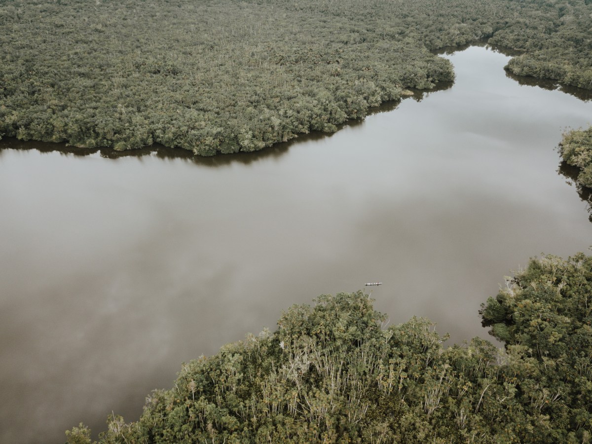 ECUADOR ANUNCIÓ EL RECONOCIMIENTO DE NUEVO CORREDOR EN LA AMAZONÍA: YASUNÍ-LIMONCOCHA-CUYABENO