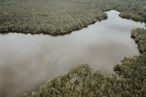 ECUADOR ANUNCIÓ EL RECONOCIMIENTO DE NUEVO CORREDOR EN LA AMAZONÍA: YASUNÍ-LIMONCOCHA-CUYABENO