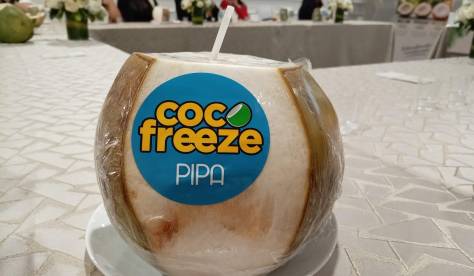 UNA EXPERIENCIA REVELA CÓMO SE TRANSFORMA EL COCO ECUATORIANO HASTA LLEGAR A SU PUNTO EXACTO